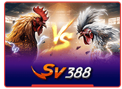 SV388 真人赌场